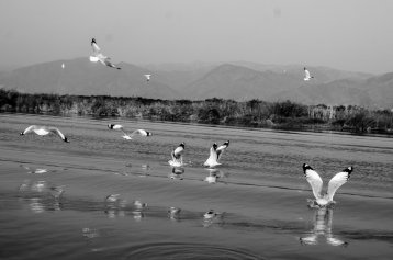 20110228-230945-sans-titre-3178