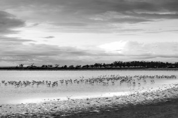 20181025-041122-DSCF0201