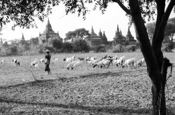 20110219-232535-sans-titre-517