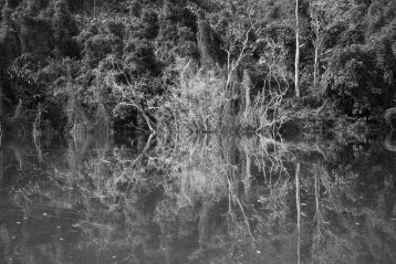 20170304-104340-DSCF7679