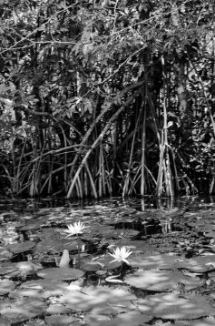 20180404-133652-AD0_1361