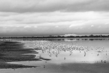 20181025-203435-DSCF0274