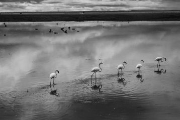 20181025-203513-20181025-203513-DSCF0281-2