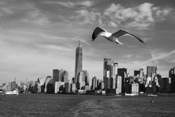 20190115-045728-DSCF3548