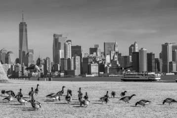 20190115-052150-DSCF3568