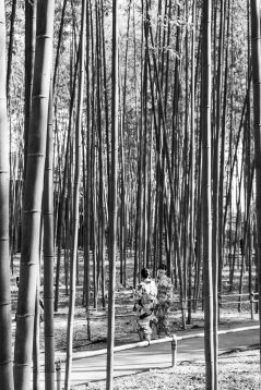 20190221-163145-DSCF5557