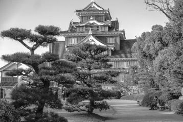 20190225-204256-DSCF6673