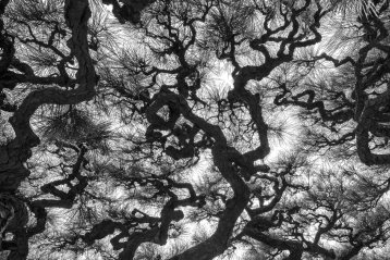 20190228-182841-DSCF6924