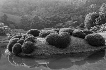 20190228-201256-DSCF7102