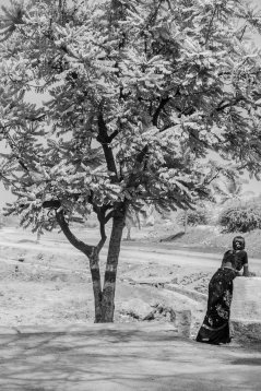 20190326-183237-DSCF1015