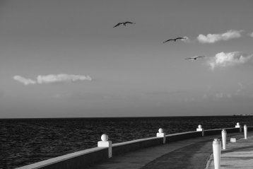 20200318-125133-DSCF3487