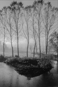 Sous le pont du 15ème siècle dans la brume - Montrozier - Aveyron