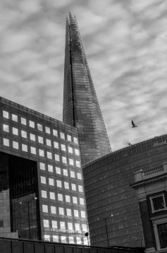 20171119-170901-DSC_5641