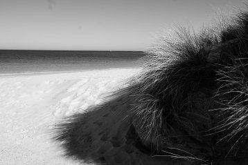 20190919-230715-DSCF1749-2