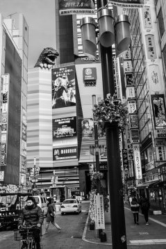 20190213-155253-DSCF4360