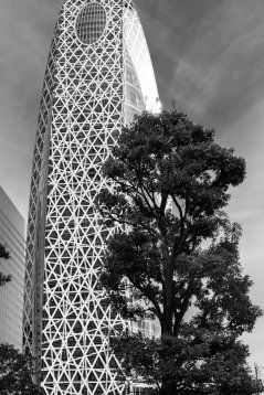 20190213-173333-DSCF4437