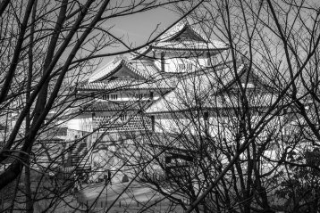20190217-200255-DSCF5104