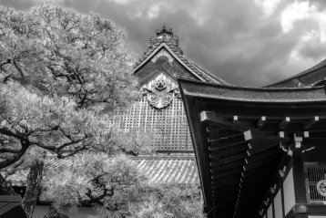 20190219-153650-DSCF5211