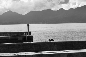 20190303-143239-DSCF7431